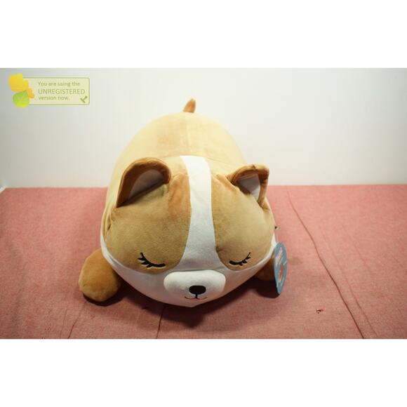 Squishmallows Sleepamallows 18" Large Plush Regina the Corgi Stuffed Animal - Picture 1 of 9